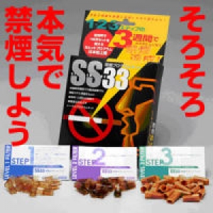 禁煙プログラム SS33